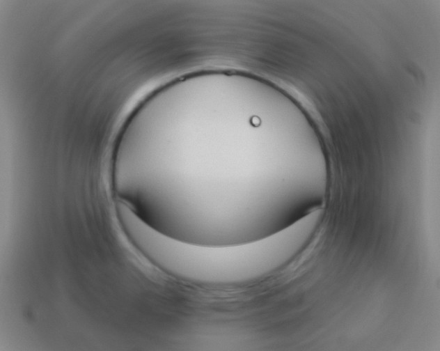 X0000113901342200910221430