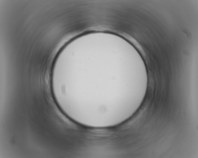 X0000113901343200910221430