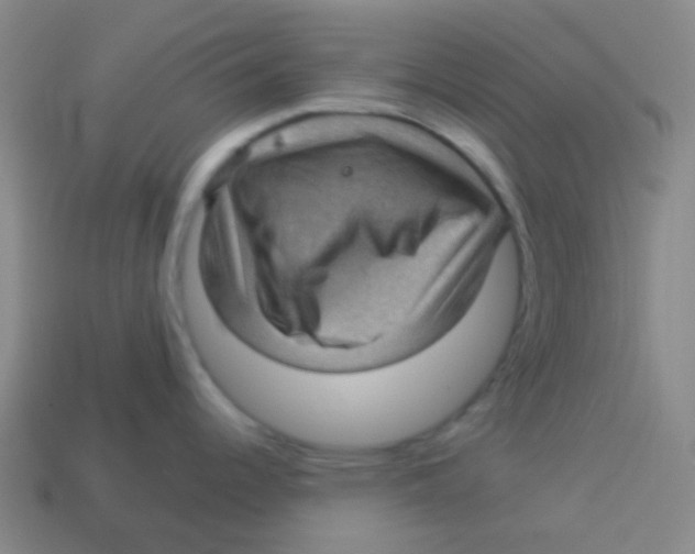 X0000113901344200910221430