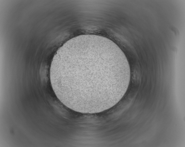 X0000113901346200910221429