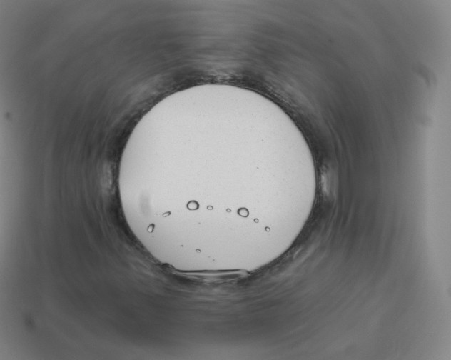 X0000113901347200910221429