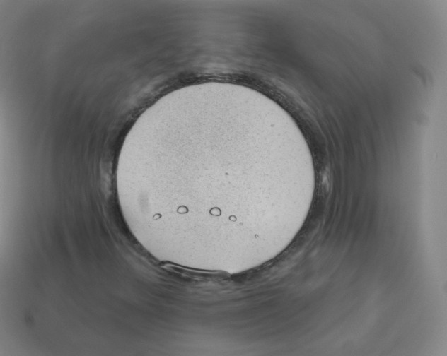 X0000113901348200910221429