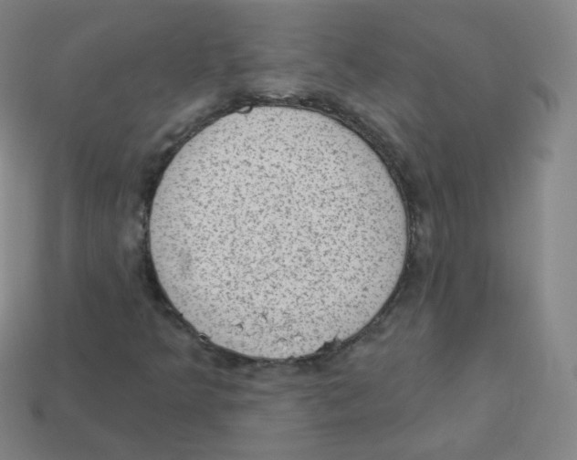 X0000113901349200910221429