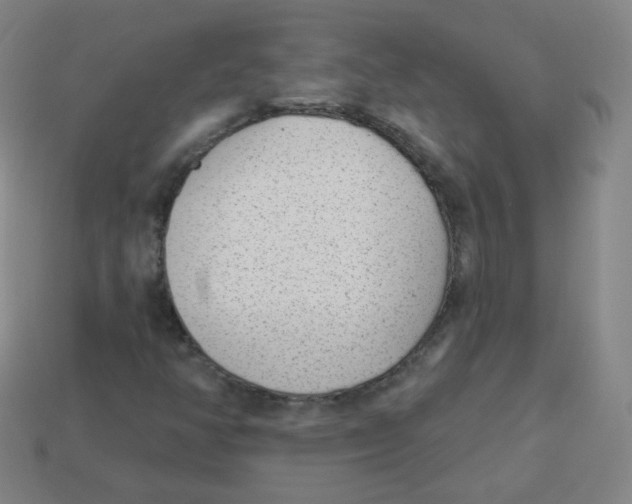 X0000113901350200910221429