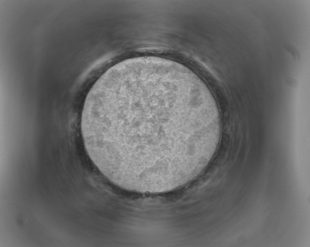 X0000113901351200910221429