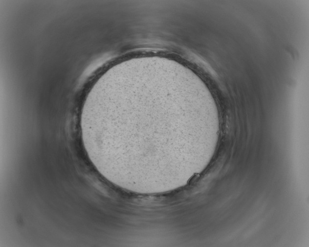 X0000113901352200910221429