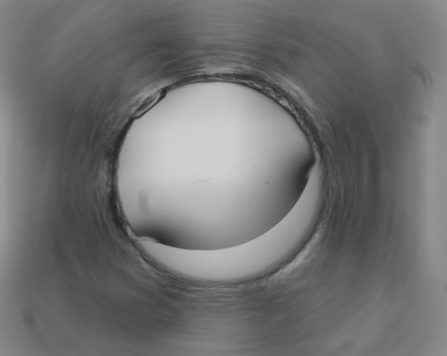 X0000113901353200910221429