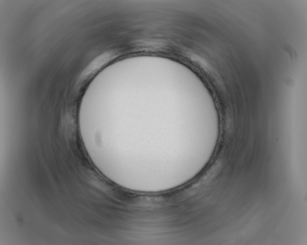 X0000113901354200910221429