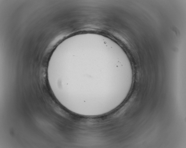 X0000113901355200910221429