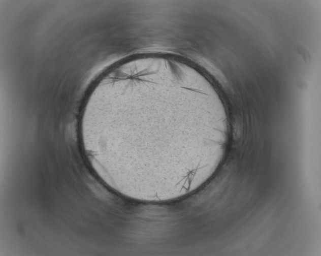 X0000113901356200910221429