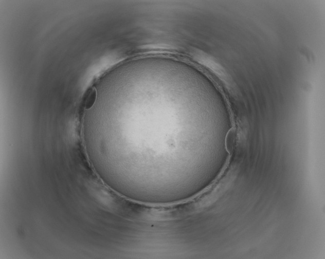 X0000113901357200910221429