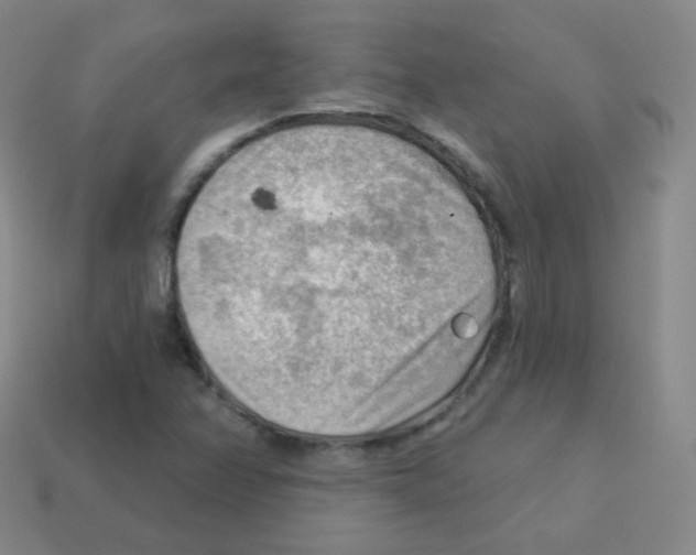 X0000113901358200910221429