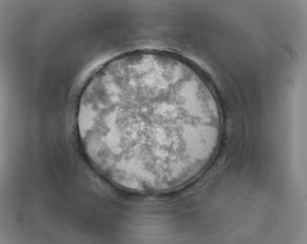 X0000113901359200910221429