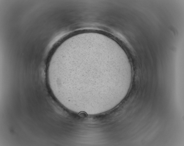 X0000113901360200910221429