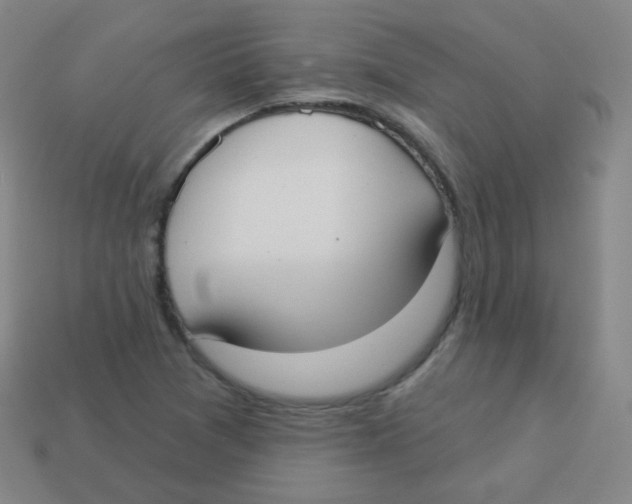 X0000113901361200910221429