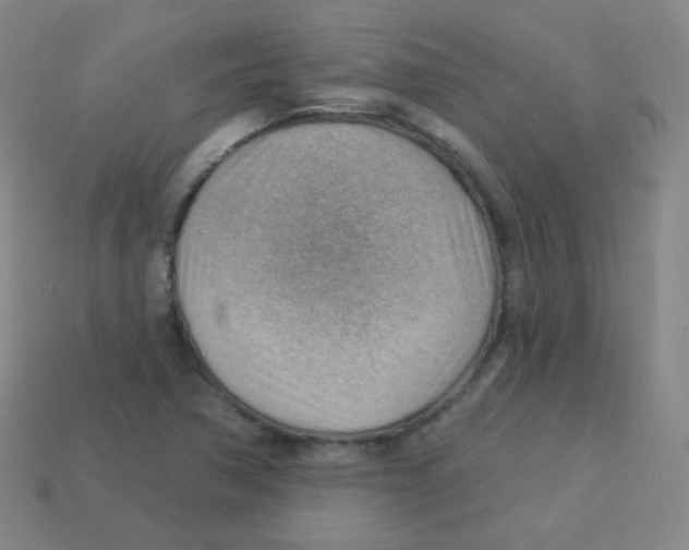 X0000113901362200910221429