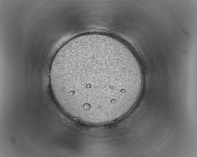 X0000113901363200910221429