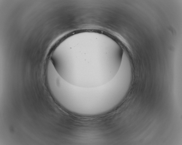 X0000113901364200910221429