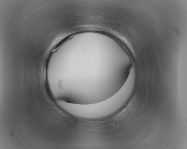 X0000113901365200910221429