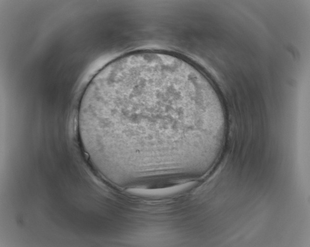 X0000113901367200910221429