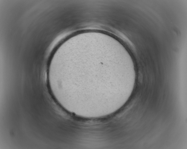 X0000113901368200910221429