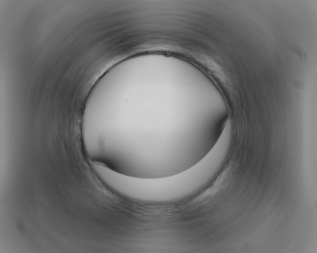 X0000113901369200910221429