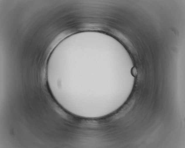 X0000113901370200910221429