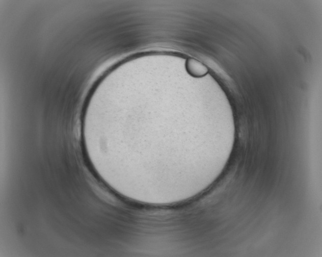 X0000113901372200910221429