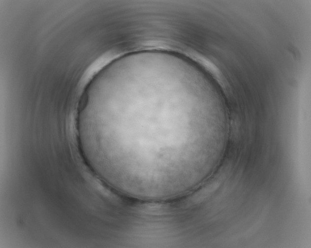 X0000113901373200910221429