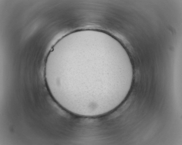 X0000113901374200910221429