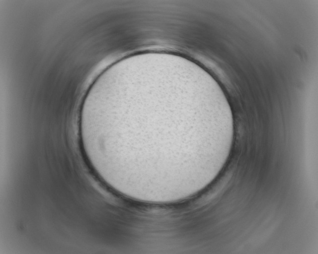 X0000113901375200910221429