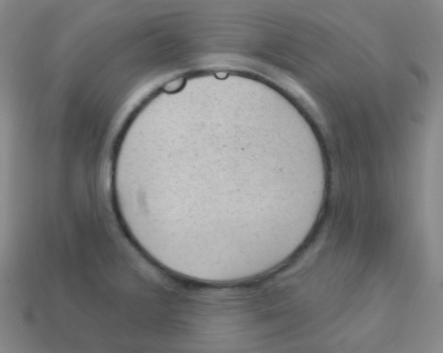 X0000113901376200910221429