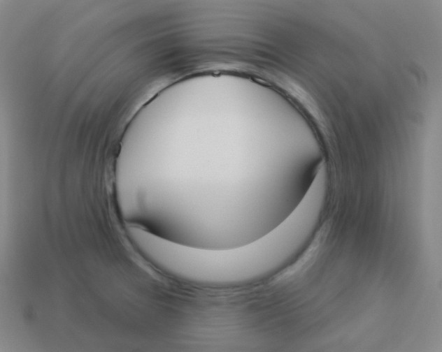 X0000113901377200910221429