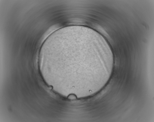 X0000113901378200910221429