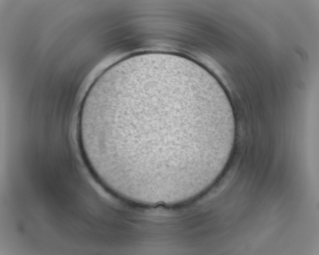 X0000113901379200910221429