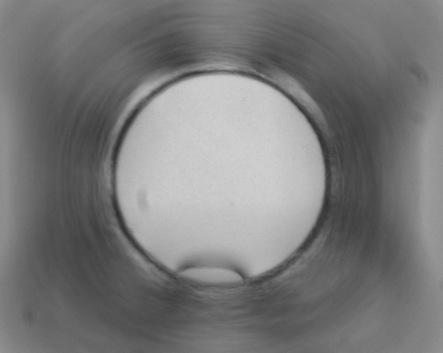 X0000113901380200910221429