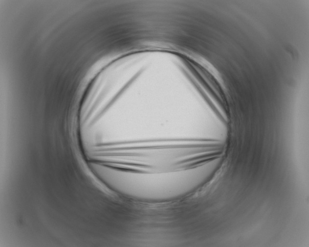 X0000113901381200910221429