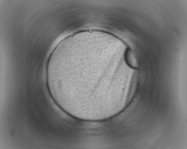 X0000113901382200910221429