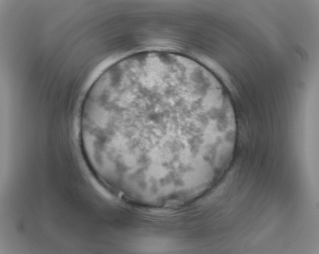 X0000113901383200910221429