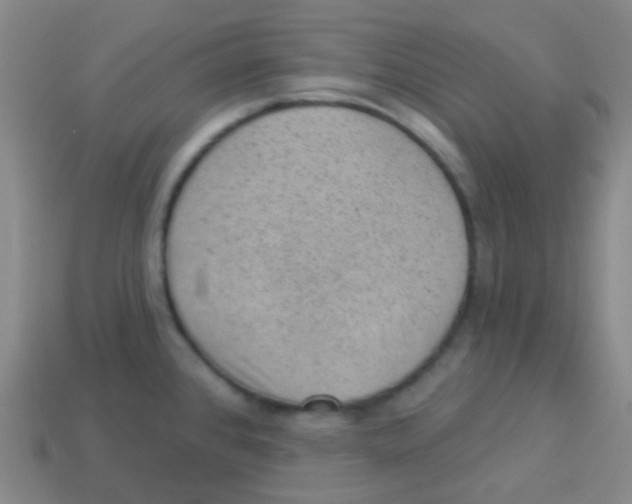 X0000113901384200910221429