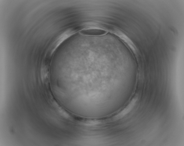 X0000113901385200910221429