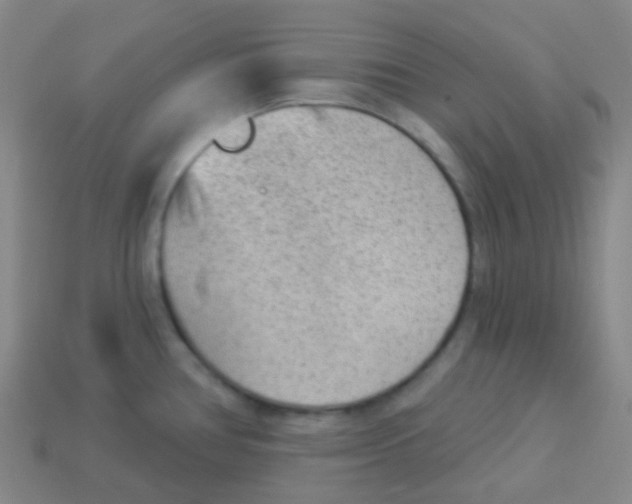 X0000113901386200910221429