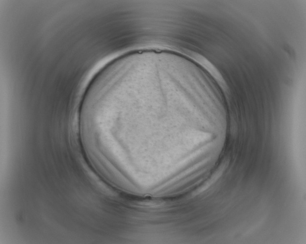 X0000113901388200910221429