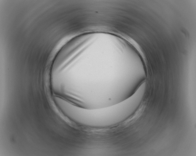 X0000113901389200910221429