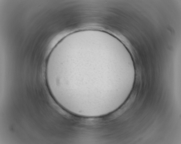 X0000113901390200910221429