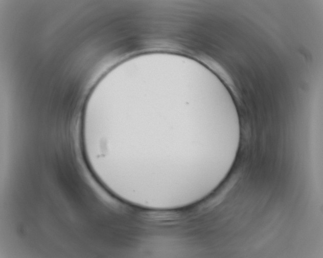 X0000113901391200910221429