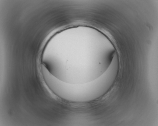 X0000113901392200910221429