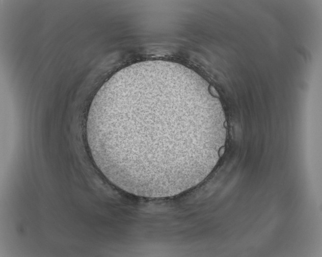 X0000113901393200910221428