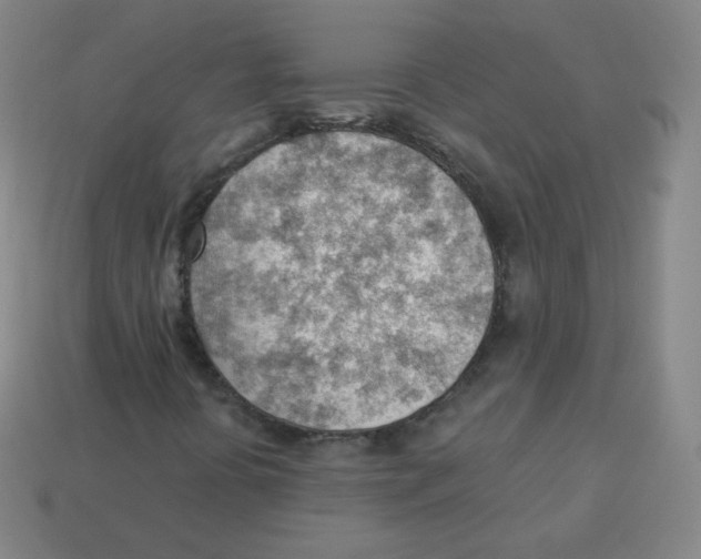 X0000113901394200910221428