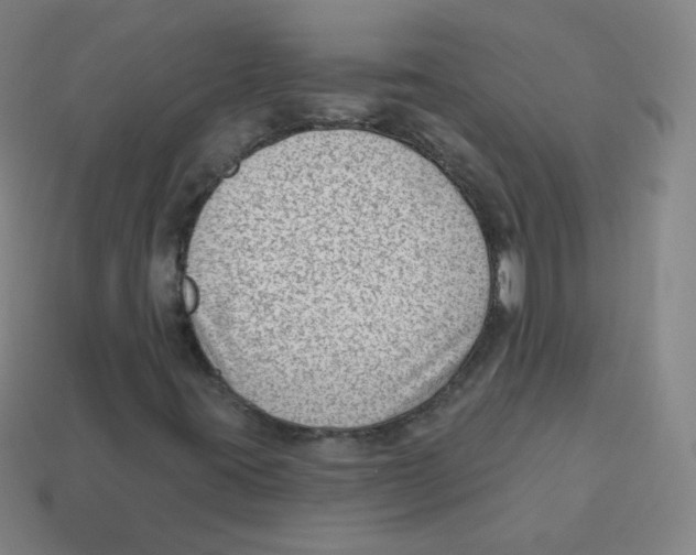 X0000113901395200910221428